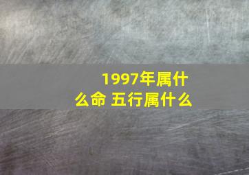 1997年属什么命 五行属什么